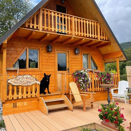 贝卢诺Agri Camp Dolomiti公寓 外观 照片