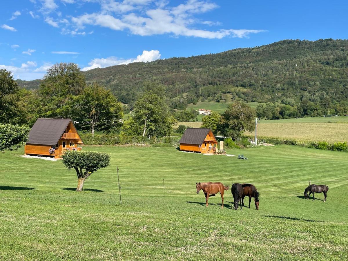 贝卢诺Agri Camp Dolomiti公寓 外观 照片
