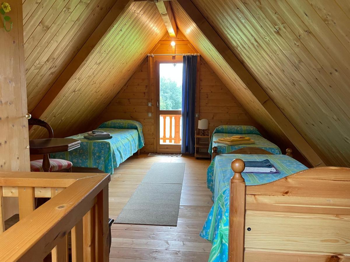 贝卢诺Agri Camp Dolomiti公寓 外观 照片