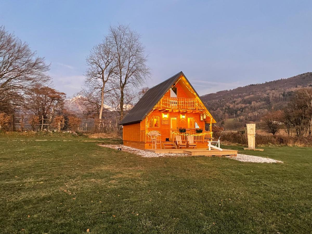 贝卢诺Agri Camp Dolomiti公寓 外观 照片
